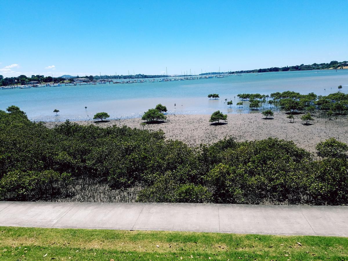 New Smart Home Nearby Plaza Auckland Exterior foto